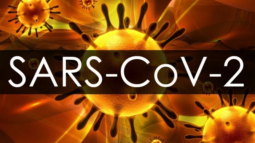 Ấn Độ phát hiện 163 ca mắc biến thể mới của virus SARS-CoV-2